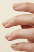 LUMIÈRE NAIL POLISH